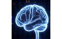 Imagen de un cerebro humano rodeado de luces brillantes, simbolizando neurociencia